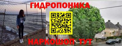 PSILOCYBIN Сланцы