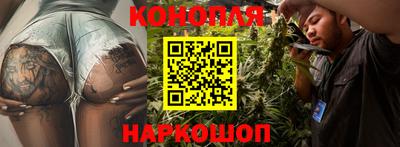 сатива Славянск-на-Кубани